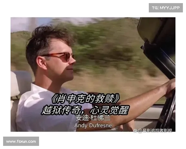 《夜幕下的见证者 追寻真相的黑暗之旅与心灵的觉醒》 《夜幕下的见证者 追寻真相的黑暗之旅与心灵的觉醒》